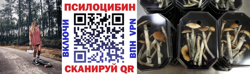 Галлюциногенные грибы Magic Shrooms Исилькуль